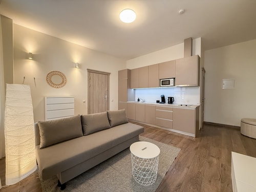 1bd Heart of Old Town apartment