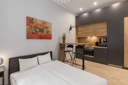 Budget friendly studio near Xiomi Arena