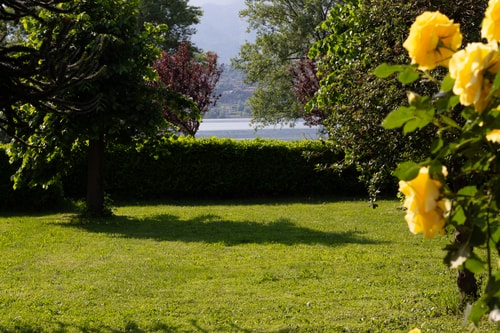 Fee4Me Cozy House on the Lake