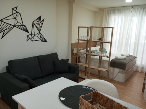 Apartamentos Coruña Vip Centro T