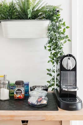 Garden Oasis Apartment with Patio 19 Home Match