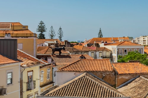 Setúbal Downtown Nº97B 24 Home Match