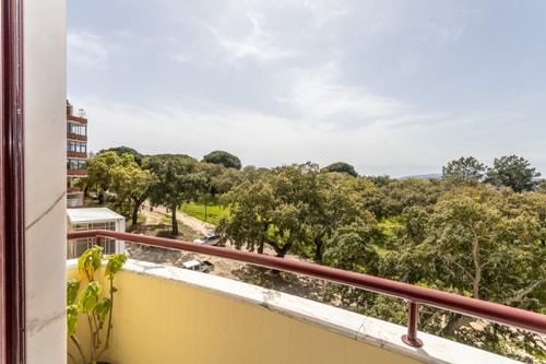 Apartamento 55 3 Home Match