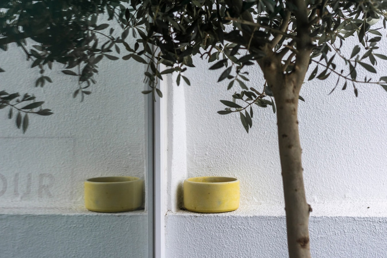 Casas da Oliveira - Picual 32 Home Match