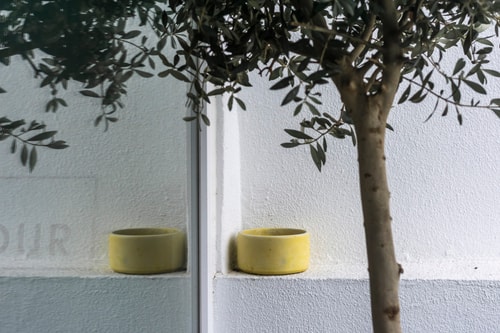 Casas da Oliveira - Picual 32 Home Match