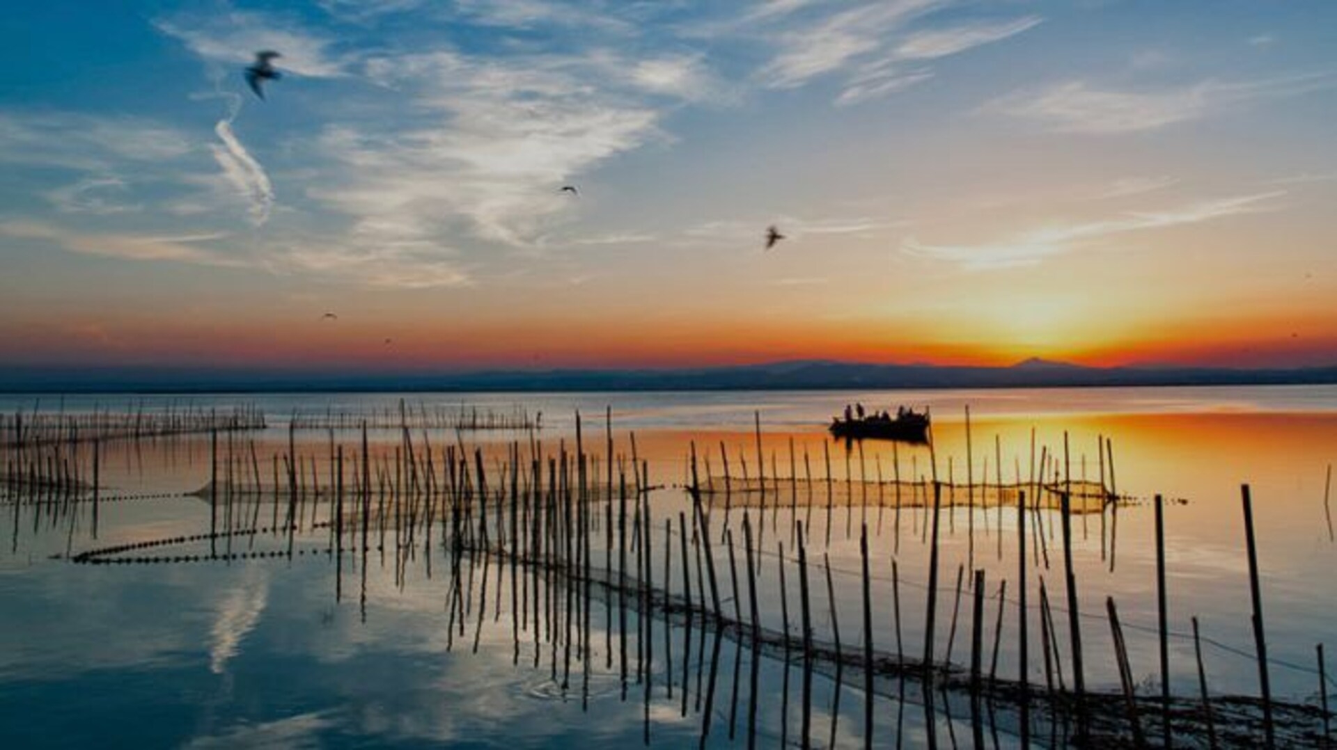 District Key - Arquitecto Gasco 41 District Key