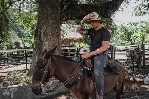 Desconecta para Volver a Conectar en Anzalik anzalikhotel