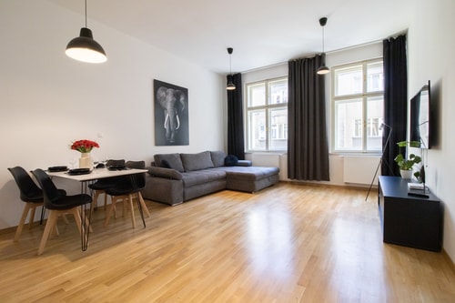 Large & Bright Apt Next to Wenceslas Sq