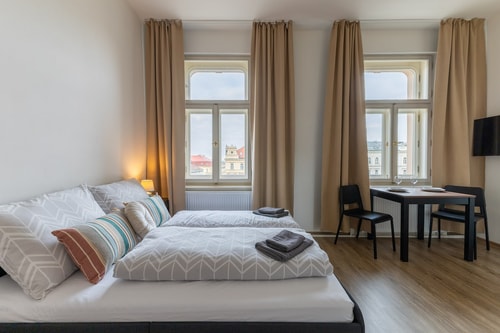 Budget Petite Studio in Central Prague