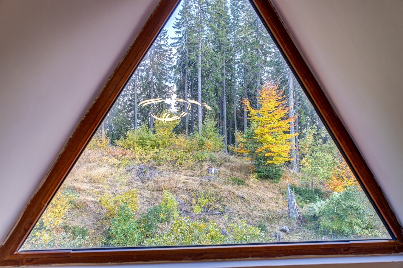 PAMPOROVO Adir Dery Dream View AP505 1BD · Top floor Ski-In Stay 4 Flat Manager Booking