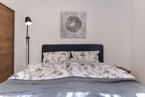Cosy & renovated 2BD flat near Vitoshka 14 Flat Manager Booking