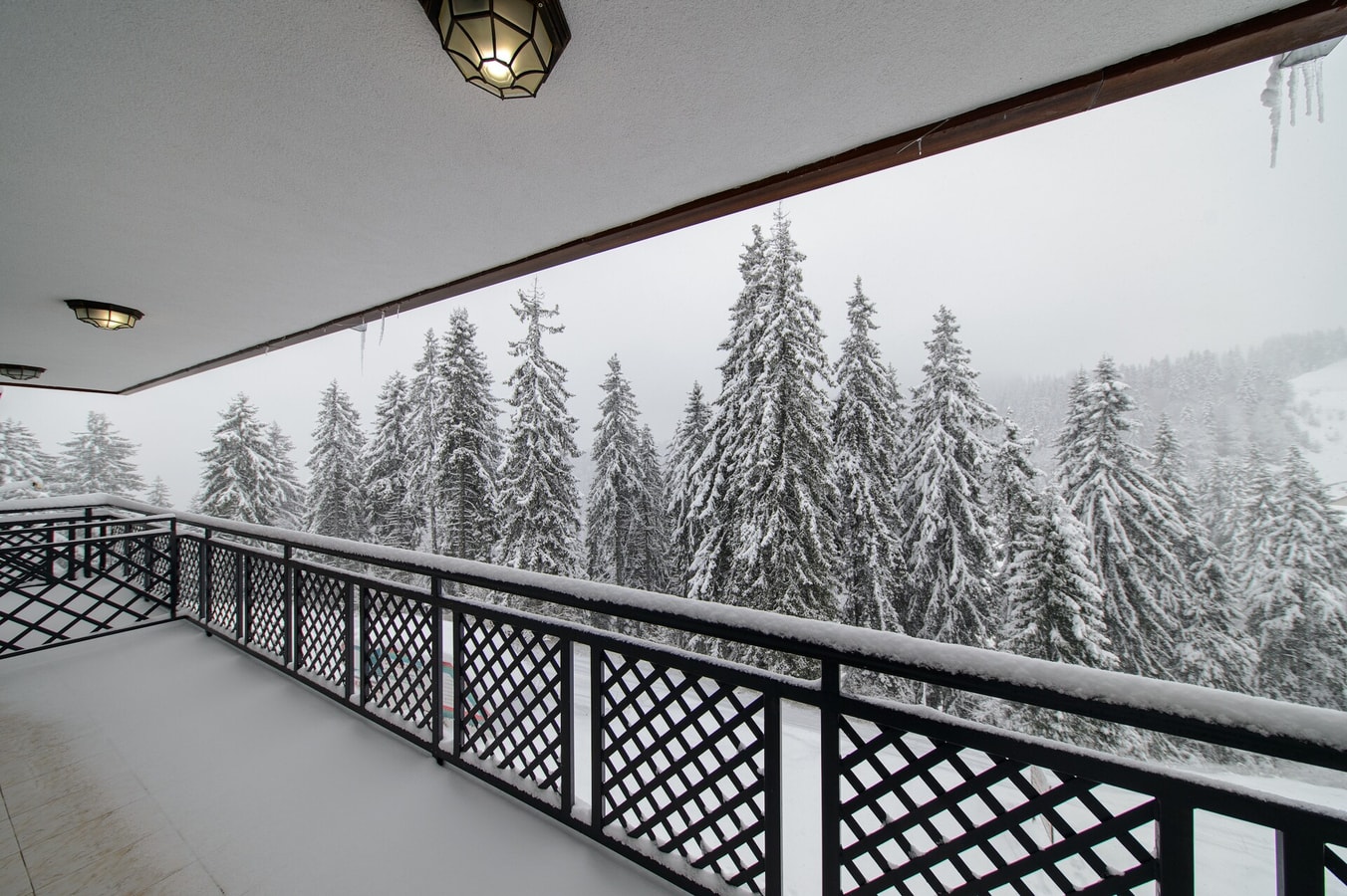 Colors of Nature in Stylish Flat in Pamporovo 14 Flat Manager Booking