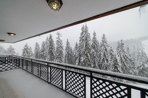 Colors of Nature in Stylish Flat in Pamporovo 14 Flat Manager Booking
