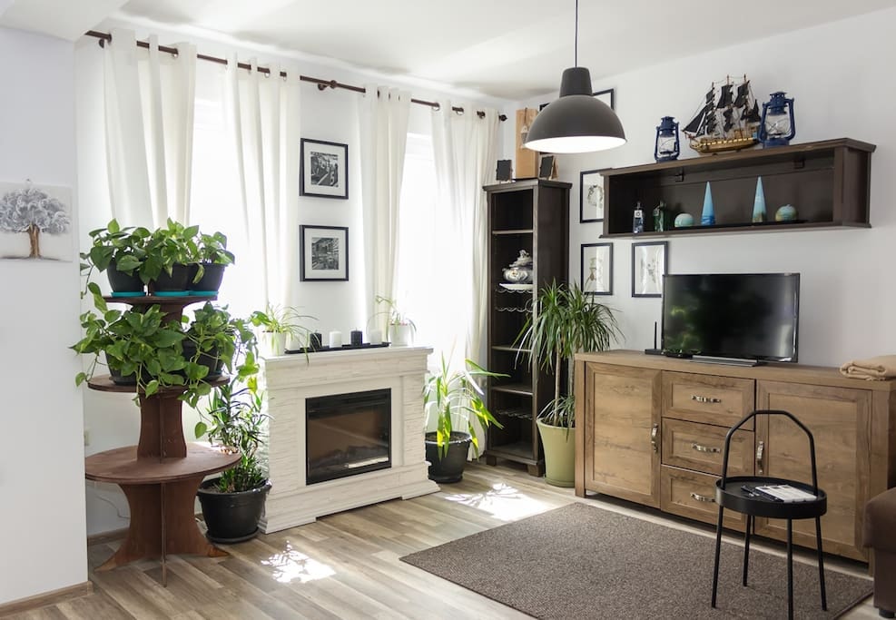 Rustic Interior in a Modern 2-Bedroom Apartment