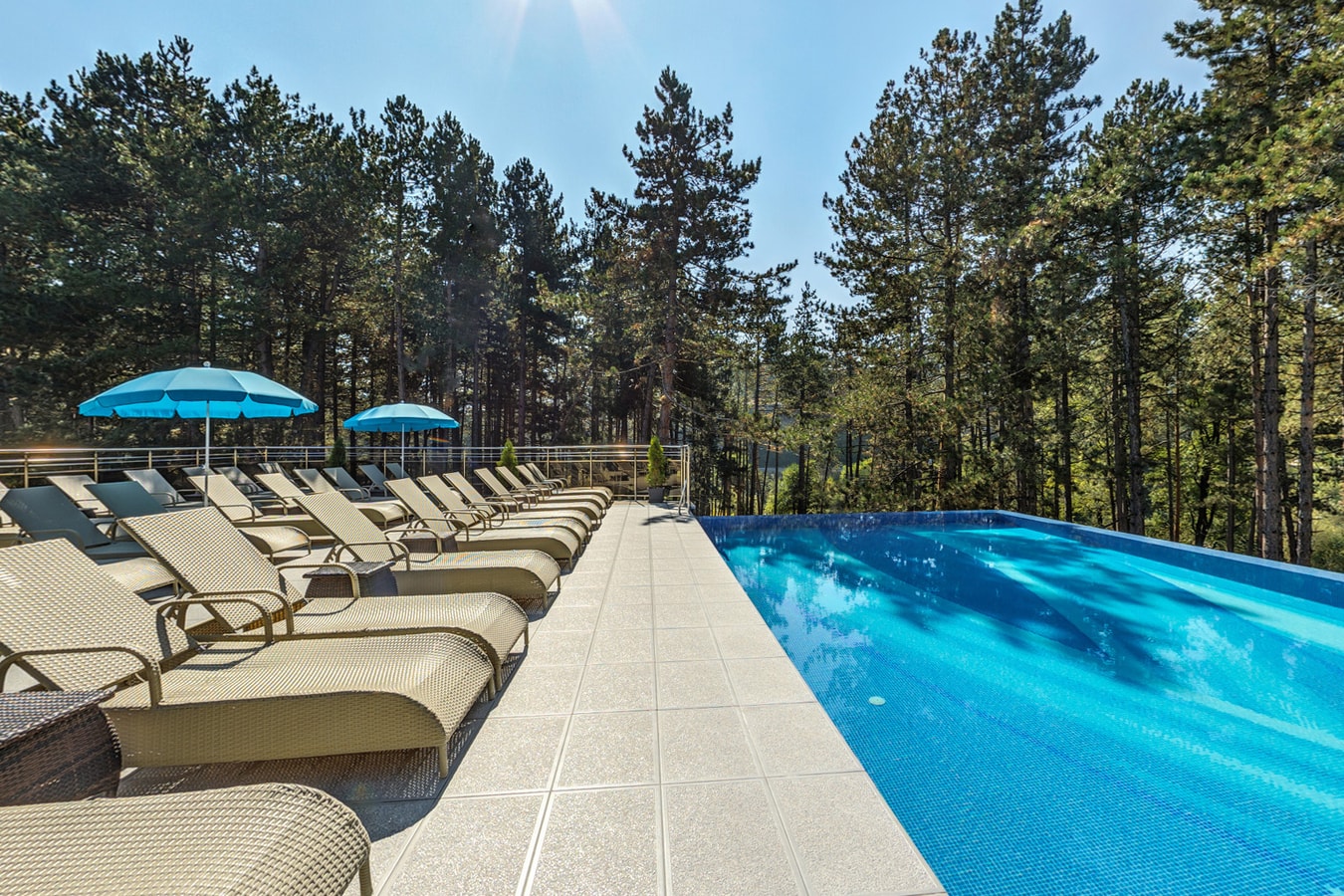 Villa Ina & SPA Park in Velingrad 40 Flat Manager Booking