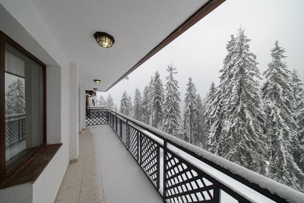 Colors of Nature in Stylish Flat in Pamporovo Flataway