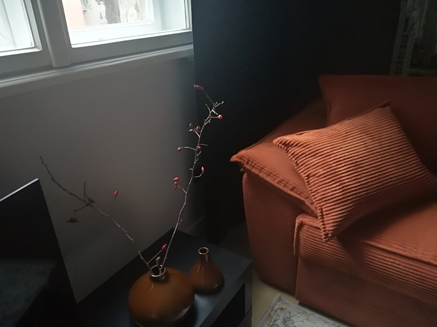 Urban Comfort: Central 1BDR near Vitoshka & NDK 10 Flat Manager Booking