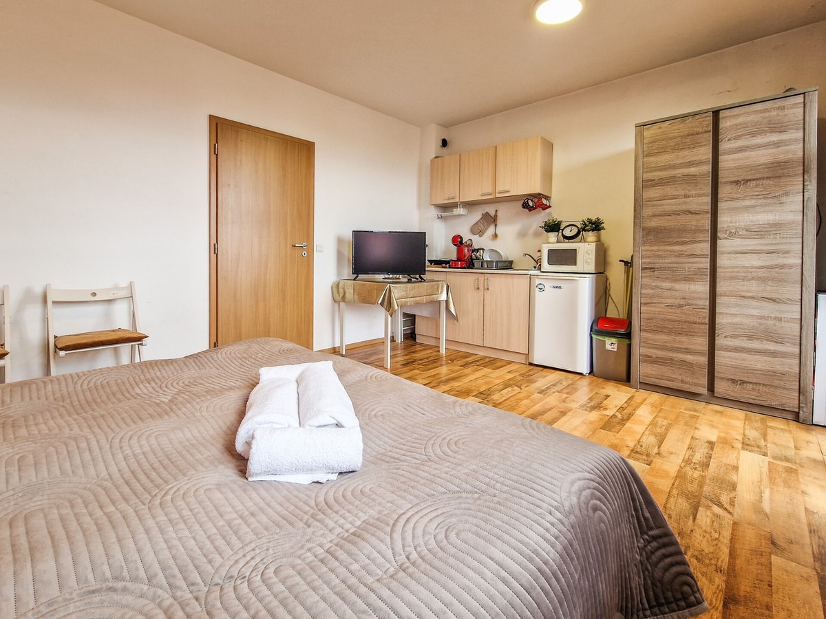 Mountain View Studio, Steps from Bansko Gondola 7 Flat Manager Booking
