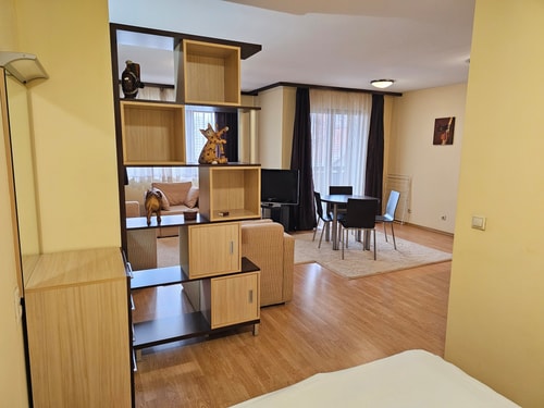Charming Studio - Trinity Bansko with parking spot 8 Flat Manager Booking