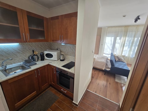 Modern Studio near Ski Lift - Cedar Lodge 4,Bansko 4 Flat Manager Booking