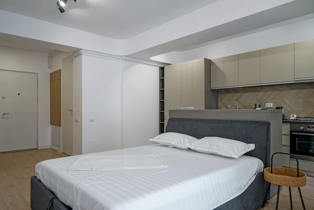 Urban Chic Retreat - Politehnica Flataway