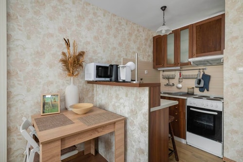 Cozy Studio in Top Centre 11 Flat Manager Booking