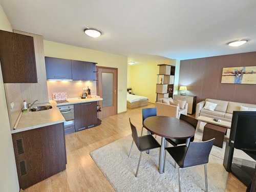Charming Studio - Trinity Bansko with parking spot 9 Flat Manager Booking