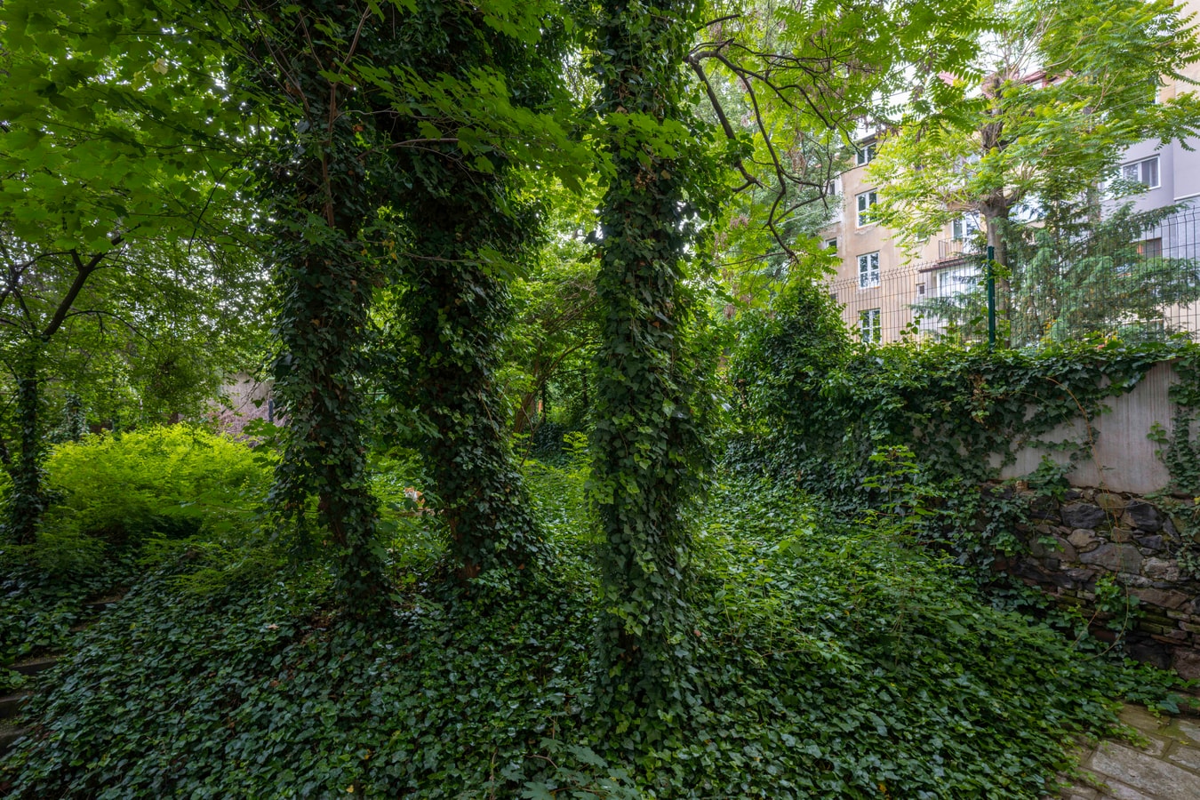 Elegant Escape in The Heart of The City 29 Flat Manager Booking