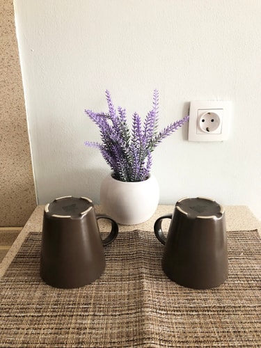Central Apartment Sunshine 7 Flat Manager Booking
