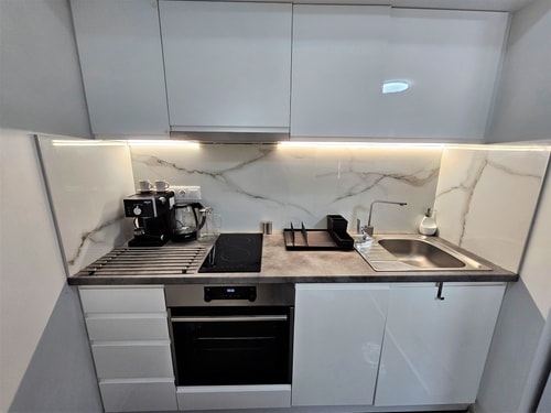Cozy and Functional Business One-Bedroom Apartment 4 Flat Manager Booking