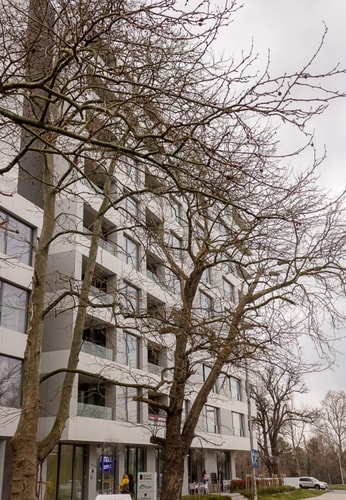 New Black & White Flat 5 Min Away From Sea Garden 4 Flat Manager Booking