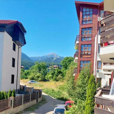 Belmont's Green Dragon nest | 1BD Apartment 12 Flat Manager Booking