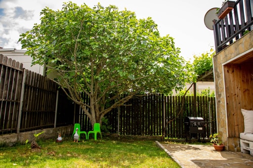 Villa Beni ~ 4-Bedroom Private House 7 Flat Manager Booking