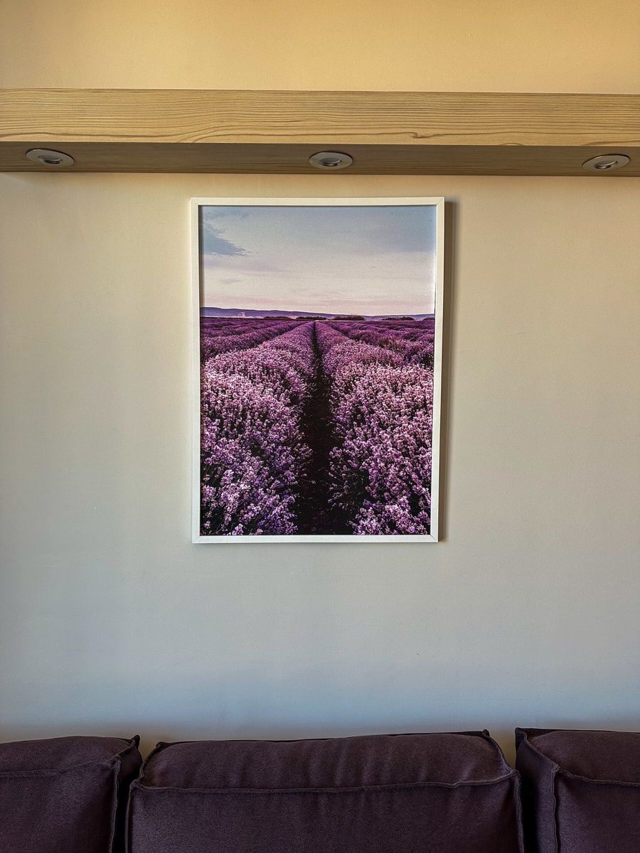 Nadya Ralevitsa 2 - 1BD · Quiet & Comfortable Urban Retreat 6 Flat Manager Booking