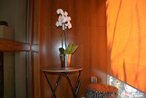 Unbeatable Location: New Lux Apartment Varna beach 33 Flataway
