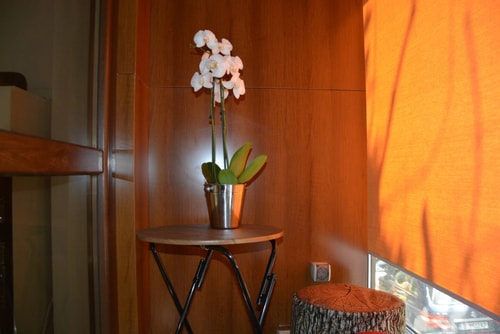 Unbeatable Location: New Lux Apartment Varna beach 33 Flat Manager Booking