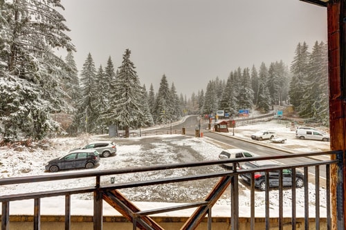 *Cute & Cozy* 1BD Flat in The Castle Complex 12 Flat Manager Booking