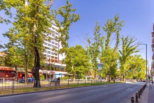 White&Grey Two 1-BD Apartments 91 Flat Manager Booking