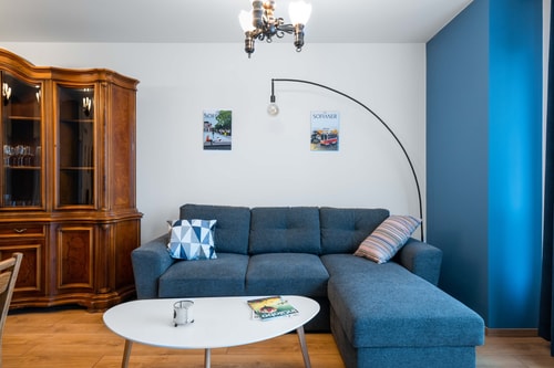 Alla Prima ~ 1BD Flat in Sofia Centre + Desk 8 Flat Manager Booking