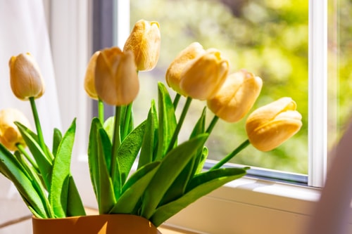Happy People Plovdiv 1-BD Apartment - White 39 Flat Manager Booking