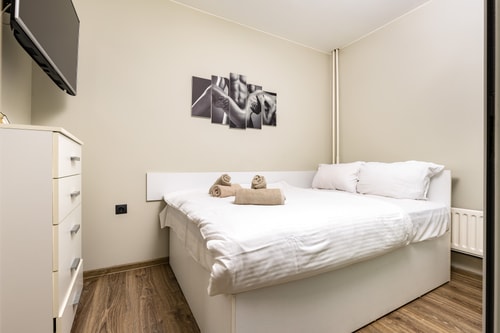PLOVDIV Petar Bulgaria · 1BD Flat in Plovdiv - 25 min Walk from the Centre 15 Flat Manager Booking