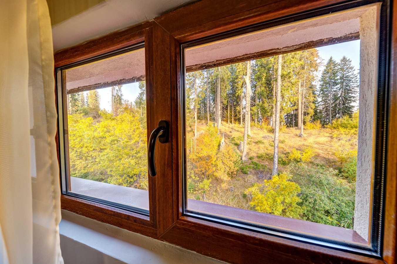 PAMPOROVO Adir Dery Dream View AP505 1BD · Top floor Ski-In Stay 10 Flat Manager Booking