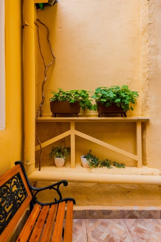Cozy Boho Studio in Center with Shared Terrace 20 Flat Manager Booking