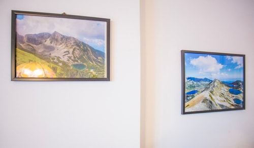 Cozy One-Bedroom apartment with Nature View 13 Flat Manager Booking