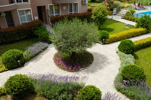 Marea Garden - Studio with Pool by Flat Manager 7 Flat Manager Booking