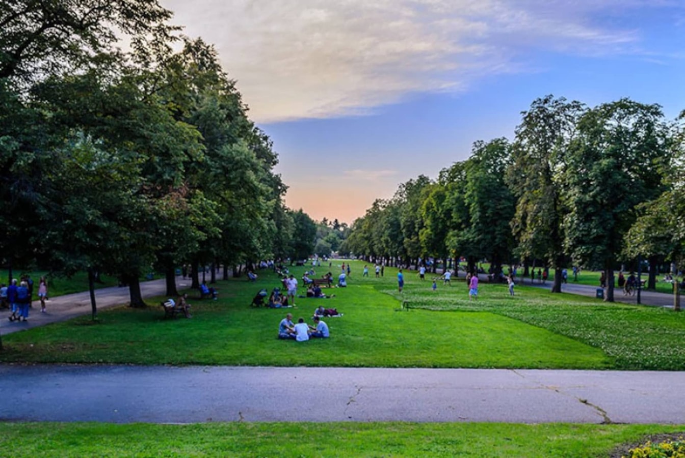 Sofia’s Best Area - Workspace+300 MBPS WiFi 4 Flat Manager Booking