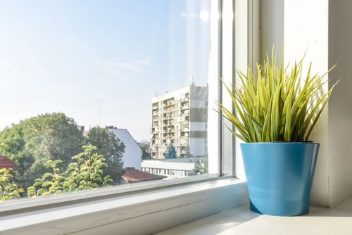 The Ivy House - A Cozy Attic near the City Center 5 Flat Manager Booking