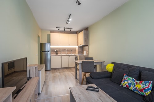 Intelligent Elephant Home - 1BDR Apartment 11 Flat Manager Booking