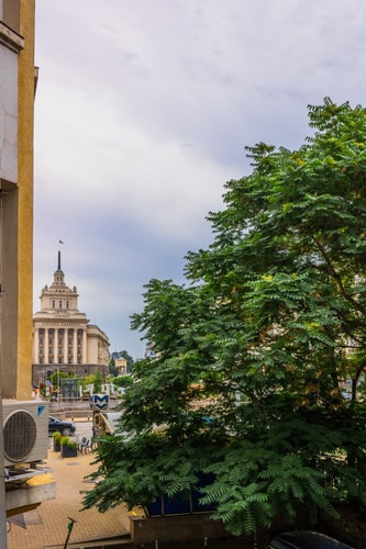 Central Stylish Suite & Studio with Shared Terrace 22 Flat Manager Booking