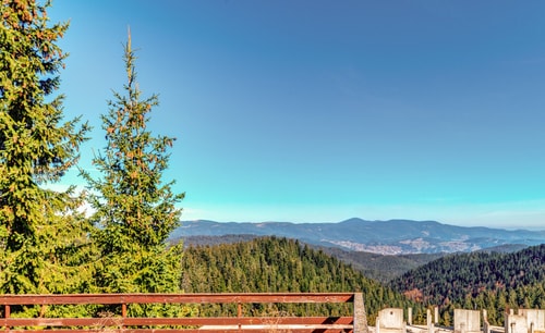 Relaxing Mountain Getaway in Cozy Studio 1 Flat Manager Booking